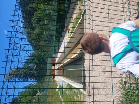 Trije tedni razigranega otroškega smeha – zaključek Ravensko razgibanega poletja (11)